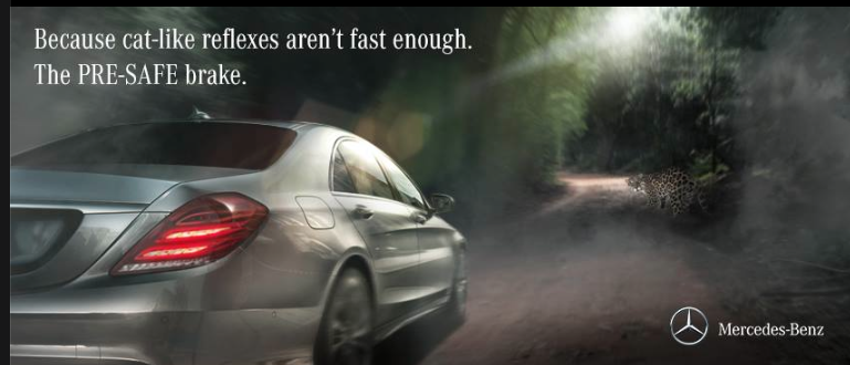 Reklampazari Tavuk Savaslari Akselerasyon Reklampazari Tavuk Savaslari Akselerasyon