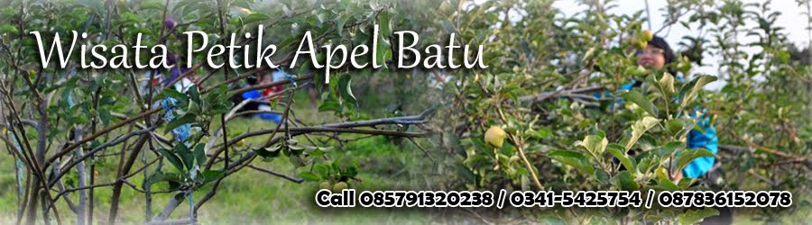 Rute ke Wisata Petik Apel Batu