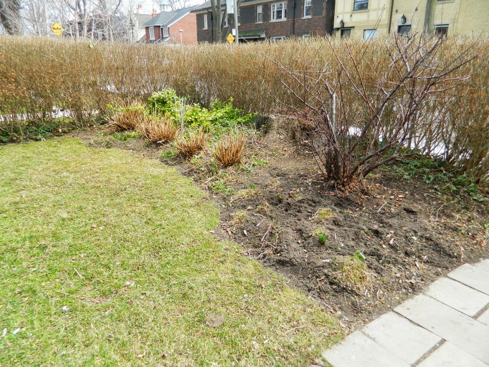 Roxborough West spring cleanup after Paul Jung Gardening Services Toronto Roxborough West spring cleanup after Paul Jung Gardening Services Toronto