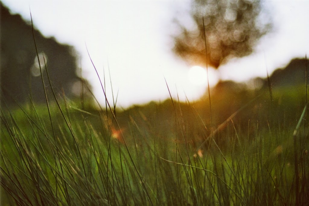 Tina Sosna A day in light