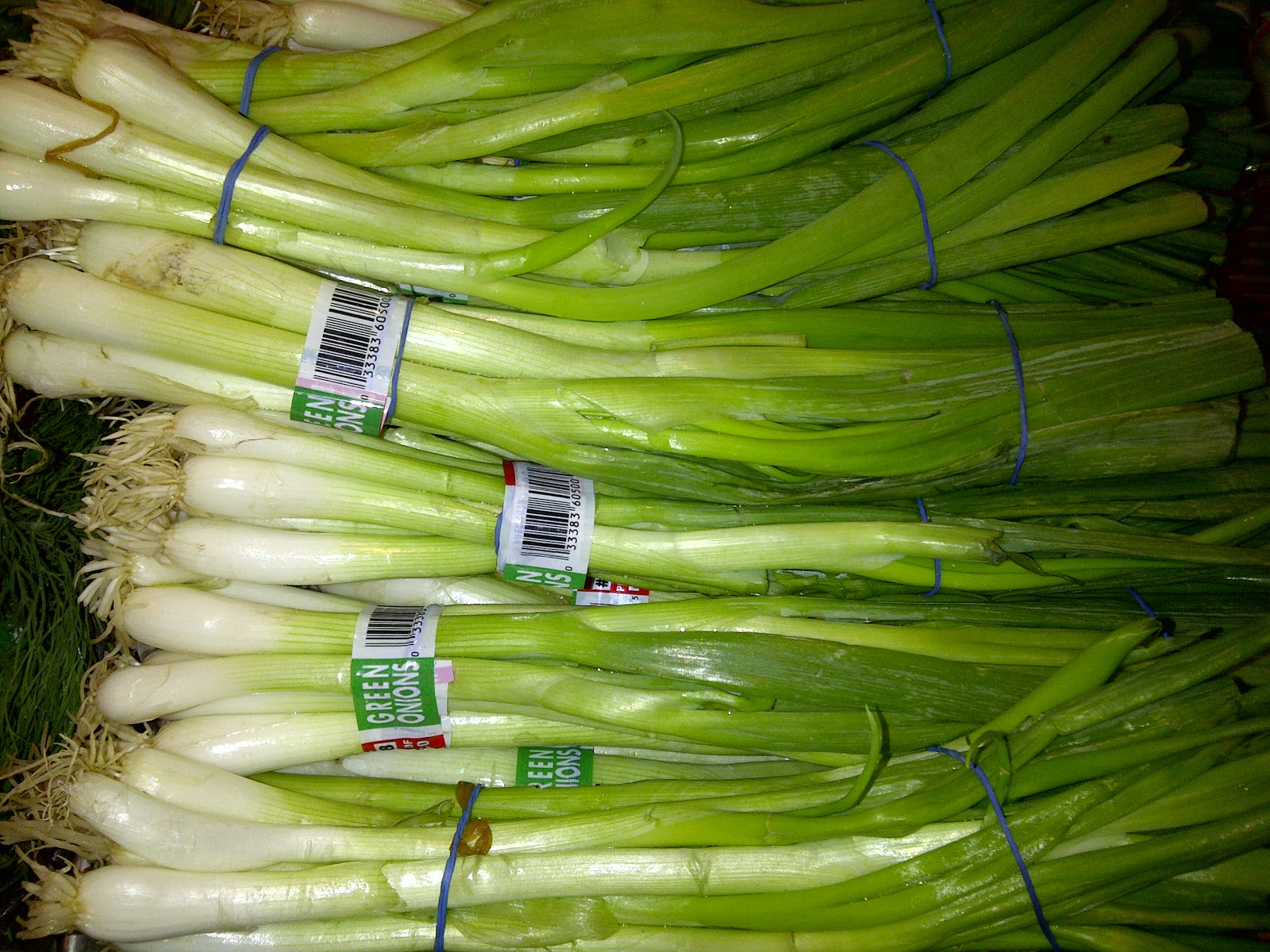 What Are Scallions