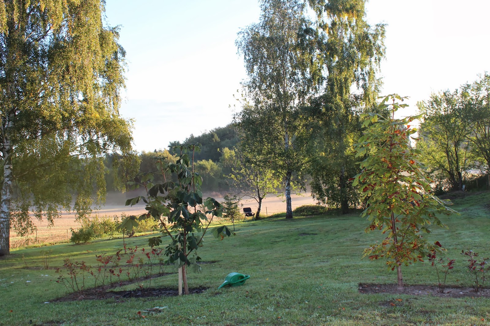 Anettesflora: januar 2015