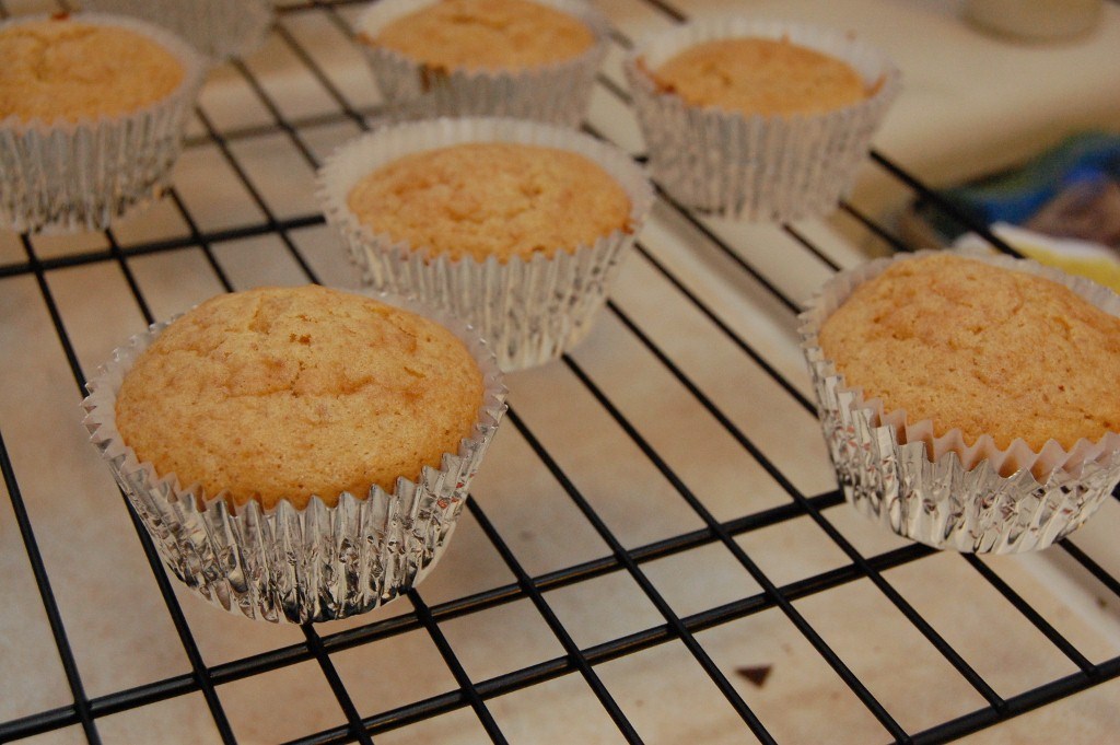 amelia grazia s'more cupcakes graham cracker cupcakes