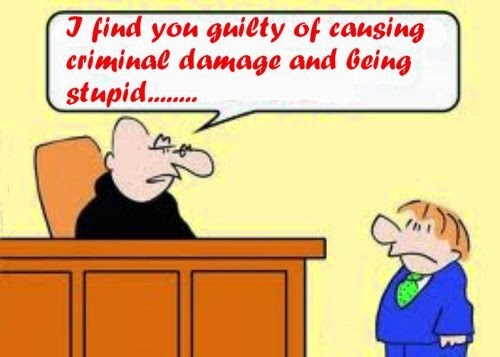 The Justice Of The Peace Blog Not The Sharpest Knife In The Drawer