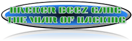 Haker Beez - The War Of Haking