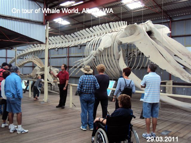 Jan Martin's Travel Blog: Whale World, Albany WA - March 2011