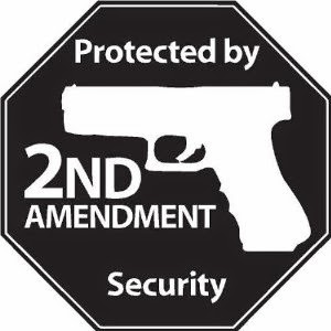The Best Anti-Gun Control Arguments The Best Anti-Gun Control Arguments