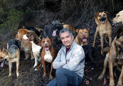 TE SALUDAMOS CESAR MILLAN