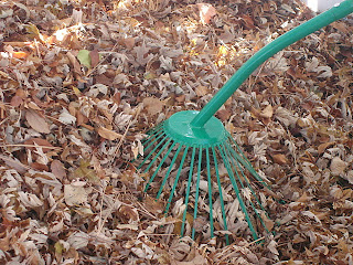 Louise Sanchez / Herbs Crafts Gifts: Leaf Grabber Rake - No Stooping or