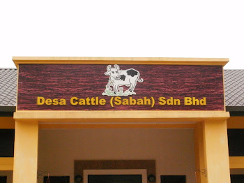 Desa Dairy Farm Kundasang