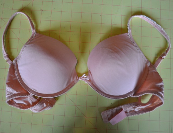 Bathing Suit Bra