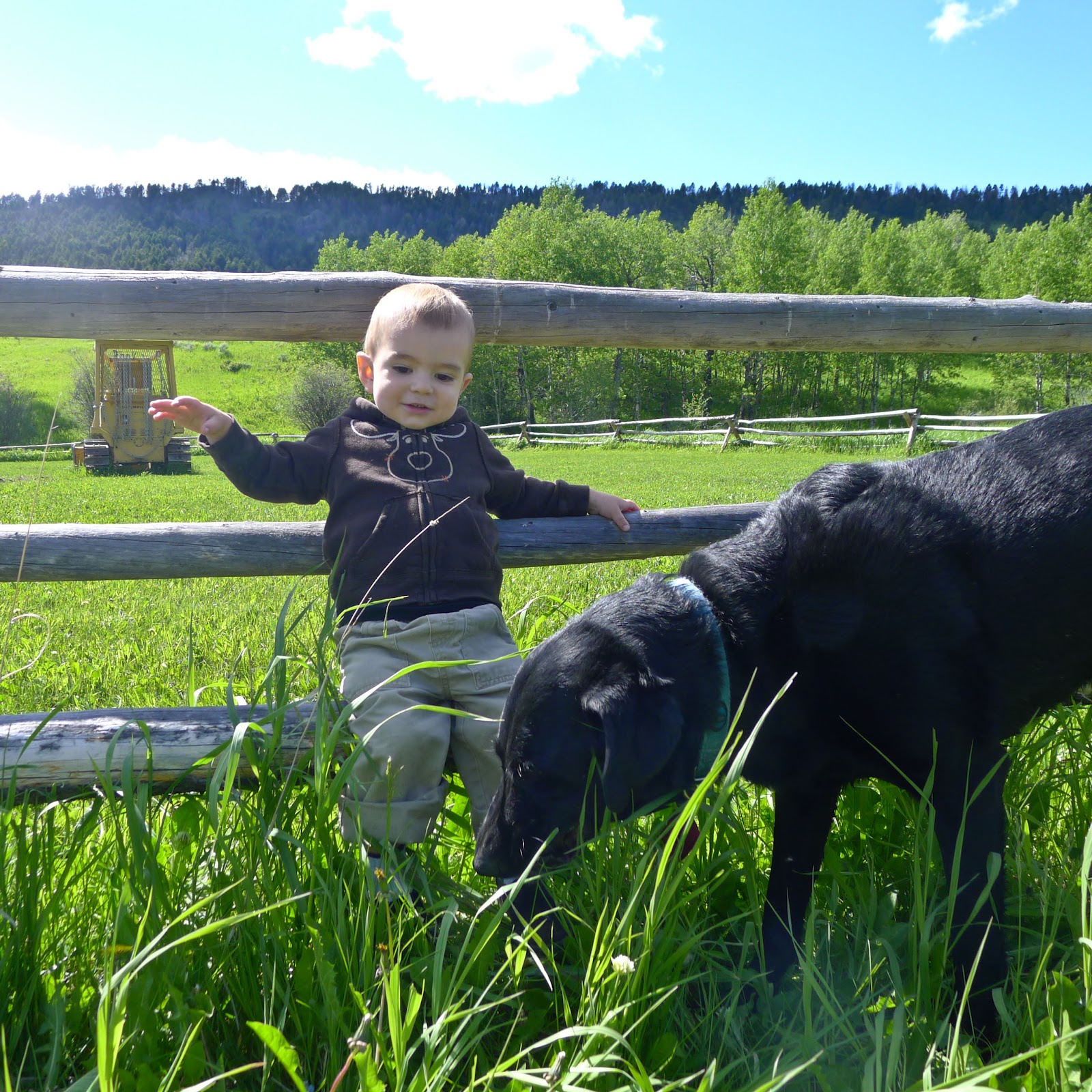 Brittle Crazy Glass Dear Tito 22 Months