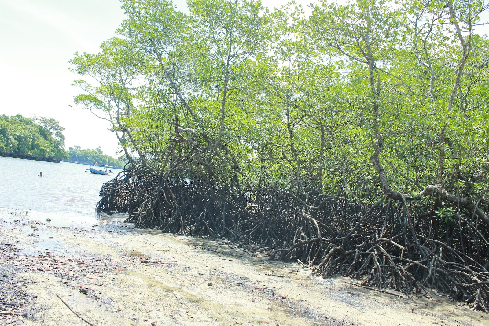 MEREKAM KEINDAHAN DUNIA: Jelajah Jawa Timur Part 1 (Kediri-Malang-Pulau