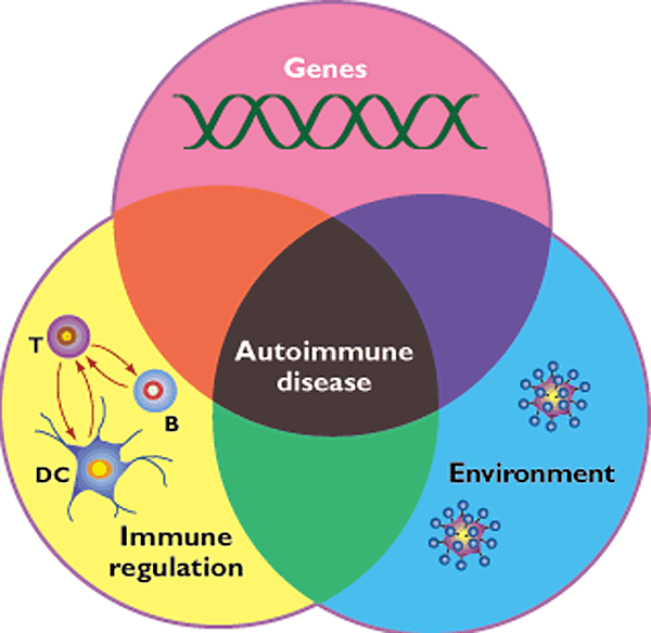 Autoimmune-disease-picture.gif