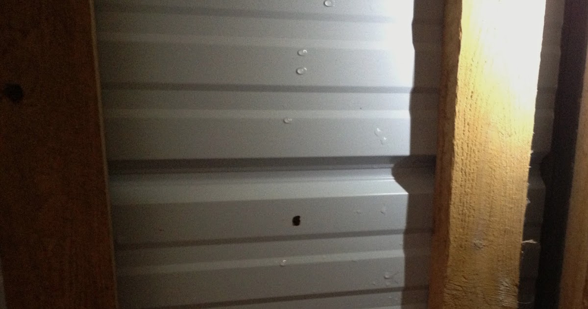 Murano Chicken Farm Insulating the coop