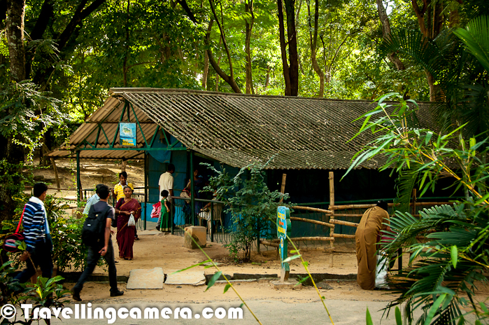 Bangalore Snake Girl