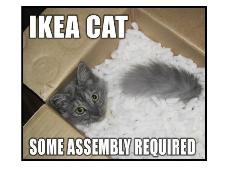 Wake Up and Dream Catalyst Barbara Lavi