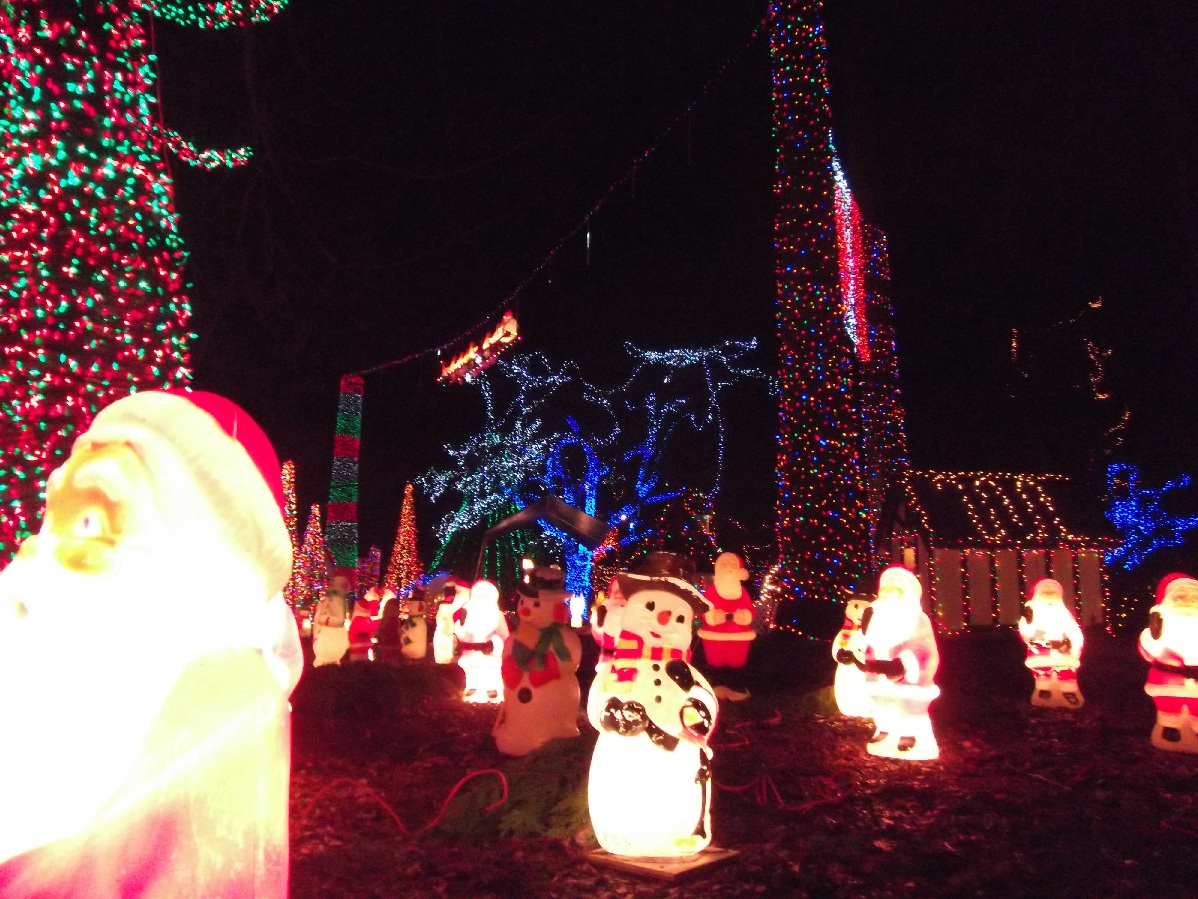 Jasmines Journeys Stanley Park Christmas Lights