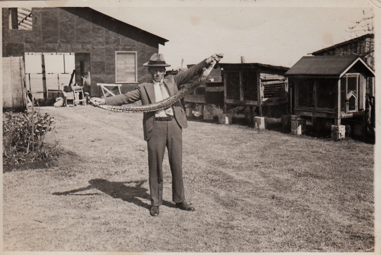 Dull Tool Dim Bulb Snake Handler Original RPPC dated 1932