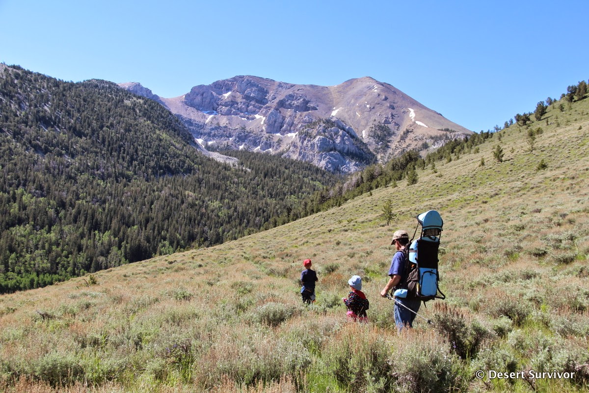 Desert Survivor Hiking up Mount Moriah in the North Snake Range, Nevada