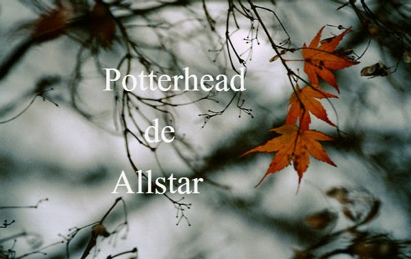 Potterhead de Allstar