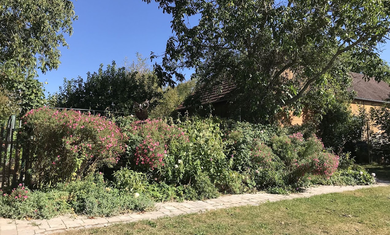 Achimsgarten - der Selbstversorger- und Garten-Blog