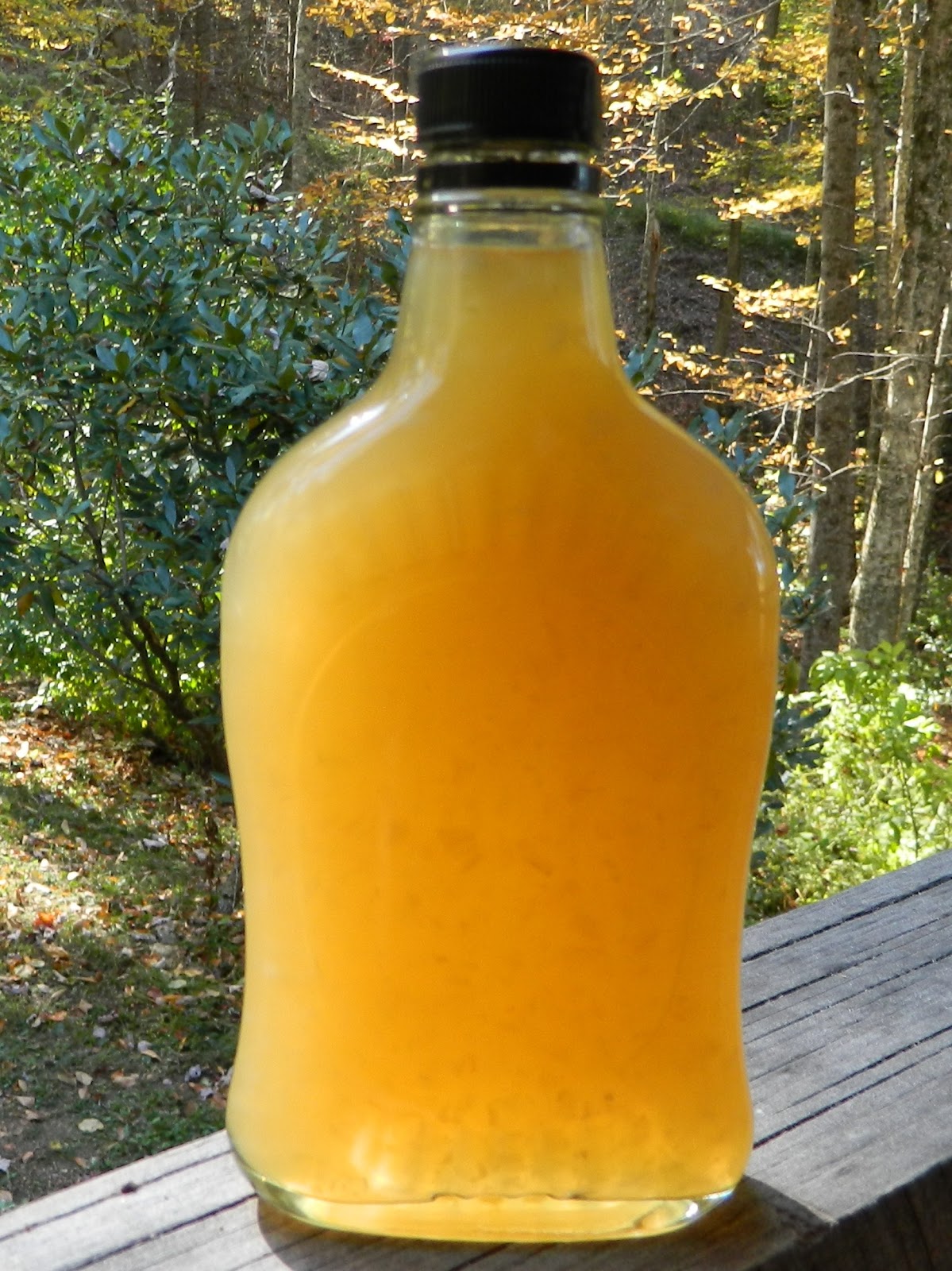 Lise S Log Cabin Life Old Timer Home Remedy Cough Medicine