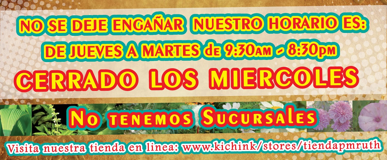 Plantas Medicinales Ruth: AJO JAPONES (ARTRITIS Plantas Medicinales Ruth: AJO JAPONES (ARTRITIS