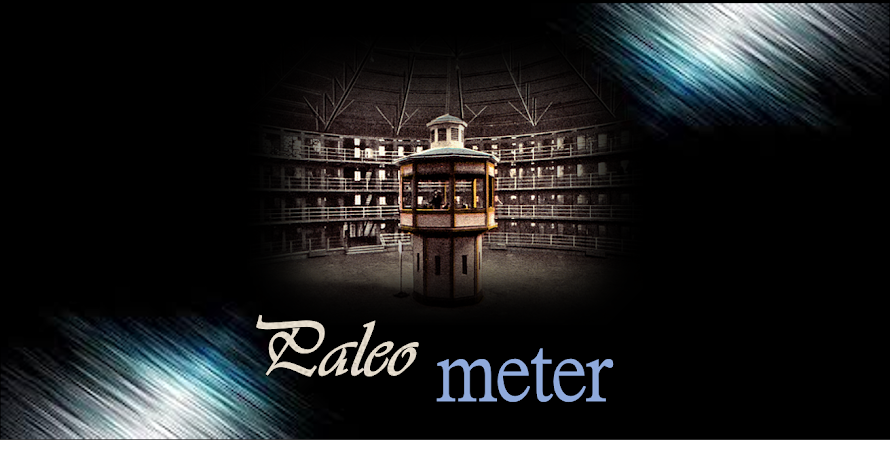 Paleometer 