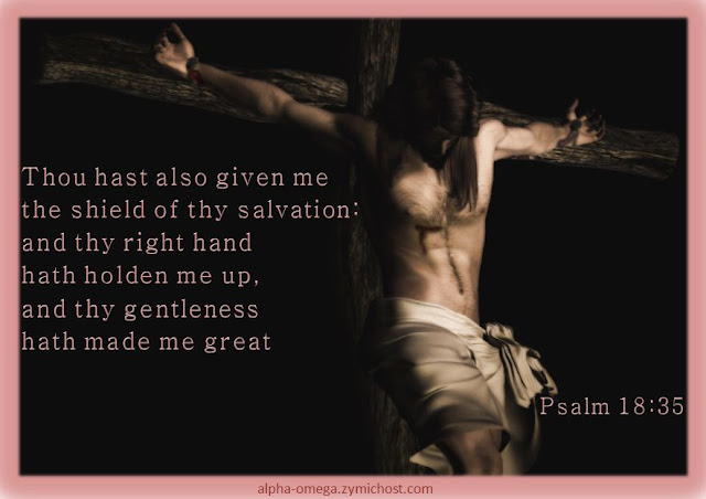 Thou hast also given me the shield of thy salvation: and thy right hand hath holden me up, and thy gentleness hath made me great.