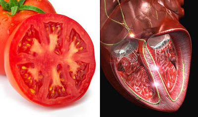 10 Foods That Look Like Body Parts & Theyre Good For Health 10 Foods That Look Like Body Parts & Theyre Good For Health