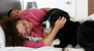 Arti Mimpi Berpacaran Dengan Sesama Jenis Menurut Primbon Jawa Pendapat Ulama Serta Adab Bermimpi Buruk Makna Dari Sebuah Mimpi