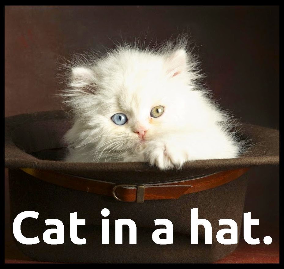 Cat Wearing Straw Hat Cat Wearing Straw Hat