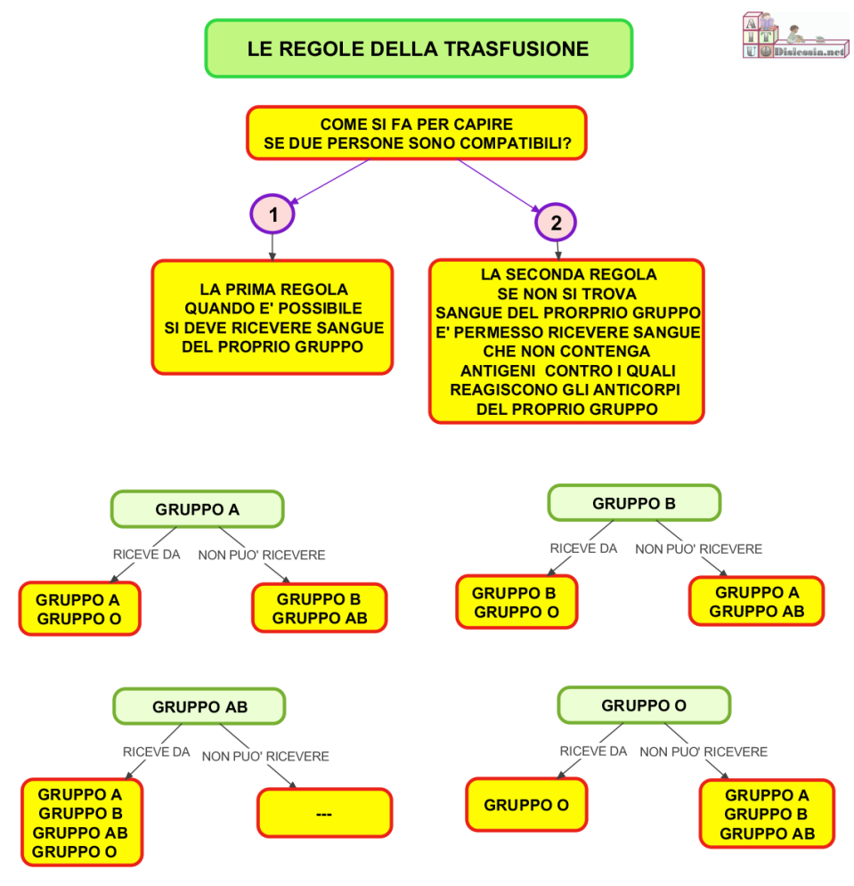 Schema trasfusione di sangue