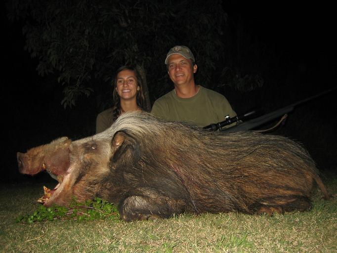 Displaying (19) Gallery Images For Bushpig... Displaying (19) Gallery Images For Bushpig...