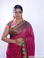 Jayavani Latest Saree Photos 3 pic 1