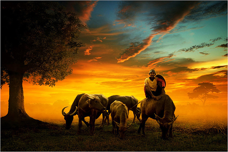 Emerging Photographers, Best Photo of the Day in Emphoka by Ipoenk Graphic, https://flic.kr/p/hqBQ9D Emerging Photographers, Best Photo of the Day in Emphoka by Ipoenk Graphic, https://flic.kr/p/hqBQ9D
