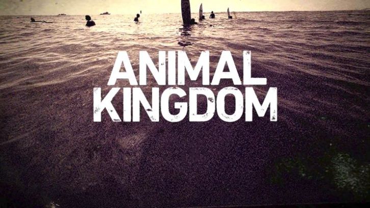 POLL : What did you think of Animal Kingdom - Stay Close, Stick Together?
