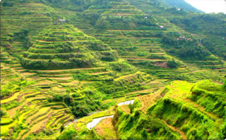 Banaue Rice Terraces Philippines
