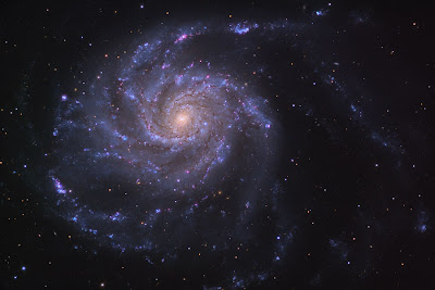галактика М-101 фото
