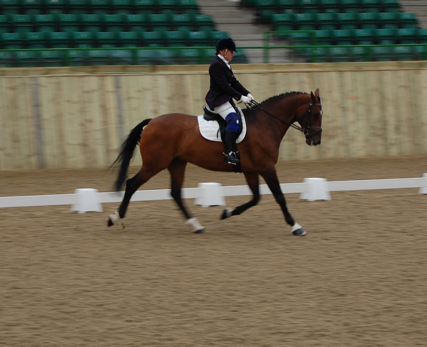 CPEDI 2*/Y/J presented by Burton College Former International