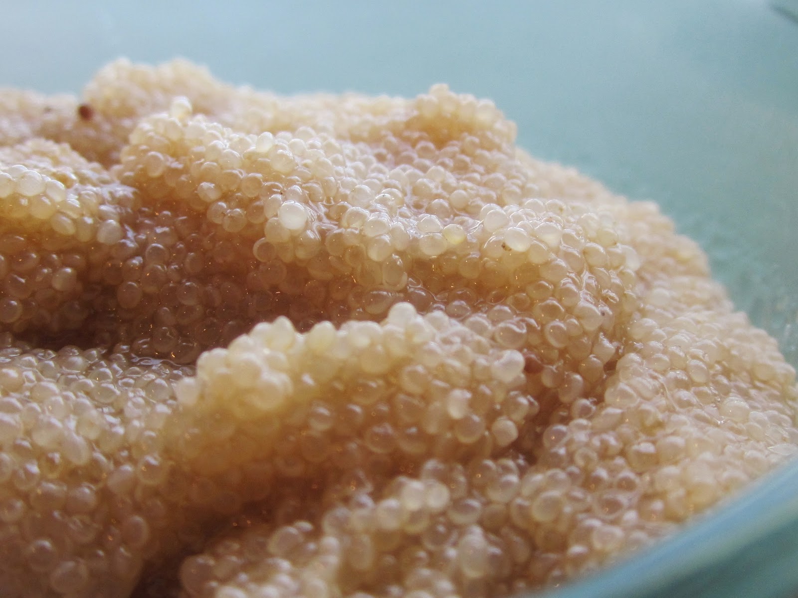 Preparing Wisely How to Cook Amaranth on the Stove Top