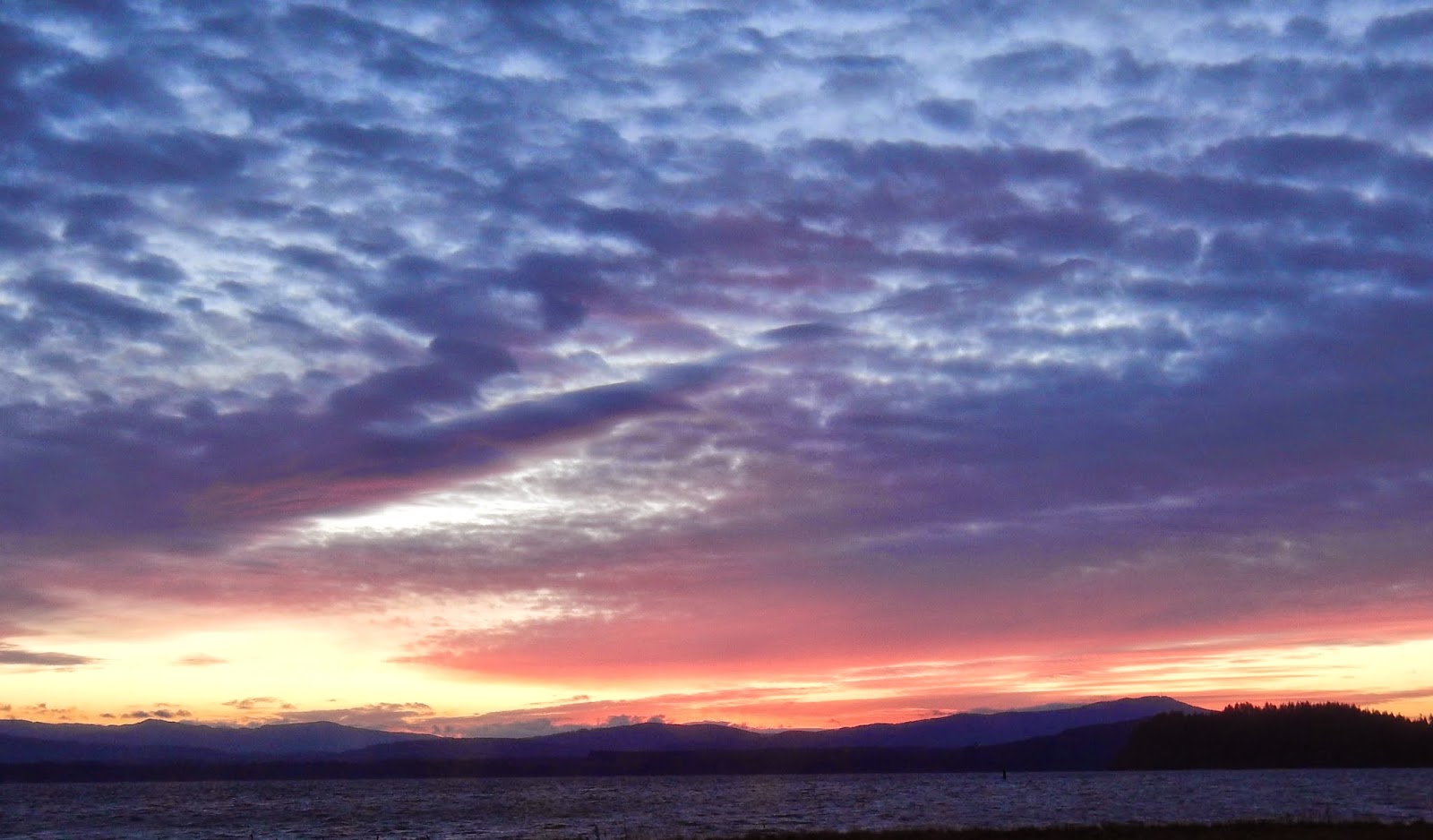 Columbia Coast Natural History Looking Up What are those clouds?