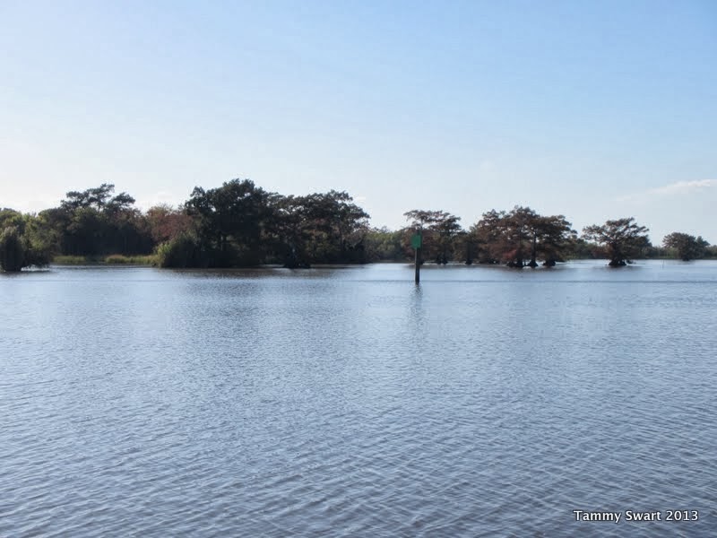 Things we did today... The Mermentau River