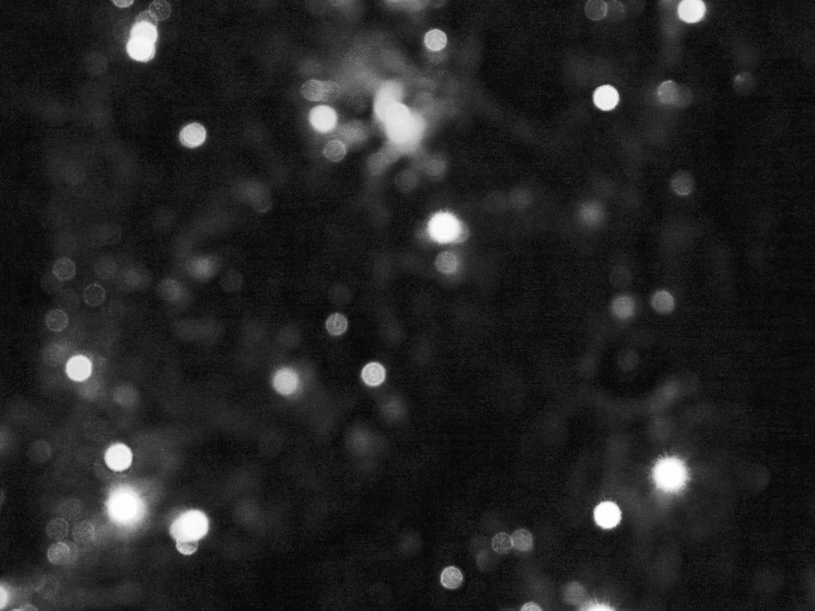 little maple leaf Bokeh Twinkle Lights