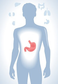 http://4.bp.blogspot.com/-RMcKTfthUQM/UQmWvo66bLI/AAAAAAAABZI/5i17RrNoQ04/s1600/606.03IV+-+Is+a+%E2%80%9CLeaky+Gut%E2%80%9D+Making+you+Sick.jpg