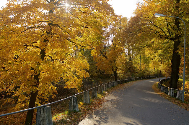 autumn, Stockholm,sweden,swedia,travel,autumn experience,musim gugur, Hagaparken