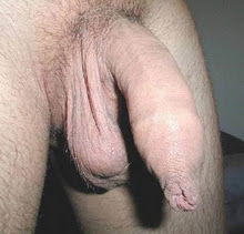 I just love to suck and stretch the foreskin