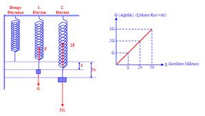 HAYATIMIZ OKUL: SARMAL YAYLAR KONU ANLATIMI VE ÖRNEK SORU ÇÖZÜMÜ 7