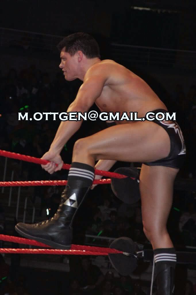 tna lauren brooke nude nude photo of cody rhodes